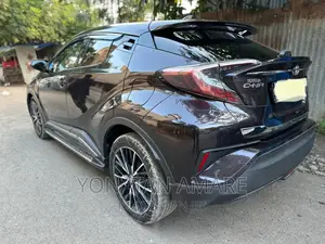 Toyota C-HR 2020 Brown