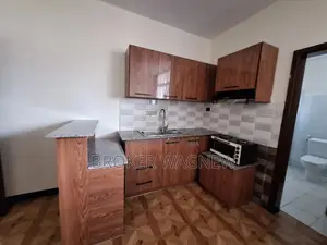 Furnished 1bdrm Apartment in Bole for rent