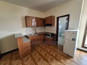 Furnished 1bdrm Apartment in Bole for rent