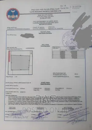 እጅግ ምርጥ ቦታ ፊጋ አየር መንገድ ዲጂታል ካርታ!