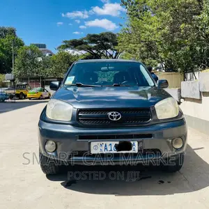 Toyota RAV4 2005 Gray