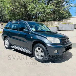 Photo - Toyota RAV4 2005 Gray