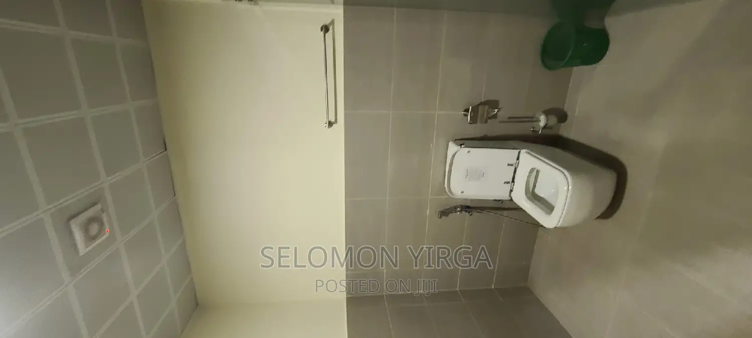 Furnished 3bdrm Apartment in አድስ አበባ, Bole for rent