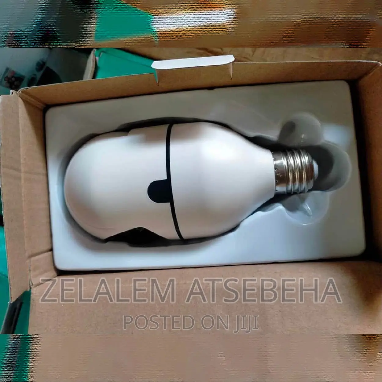 Rotating Bulbs Security Camera