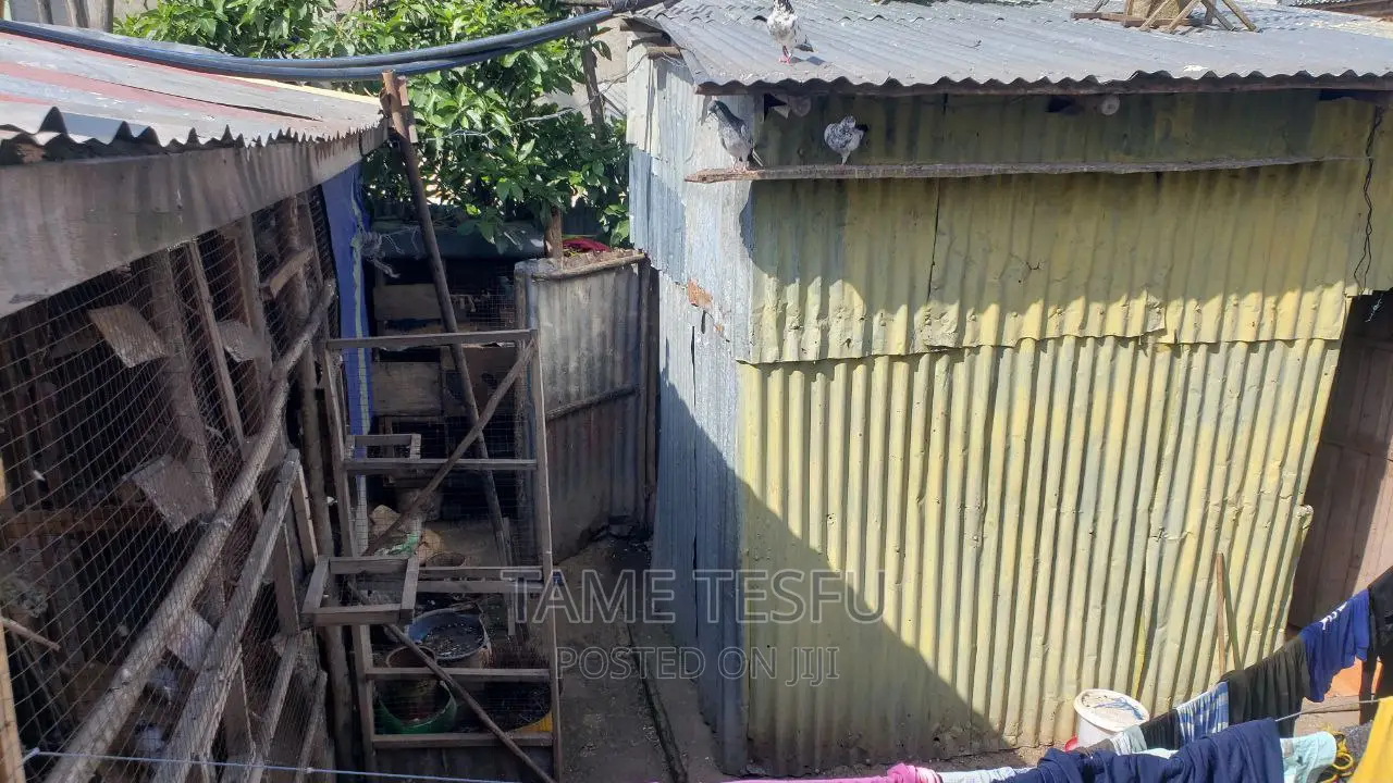 Furnished 2bdrm House in Betheli Alem Bank, Nifas Silk-Lafto for sale