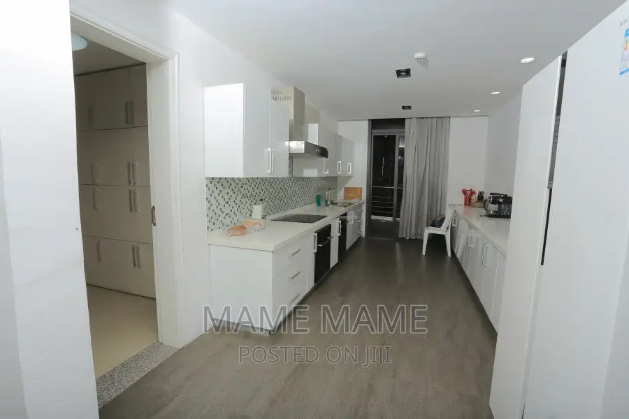 Furnished 3bdrm Penthouse in Addis Abeba, Bole for rent