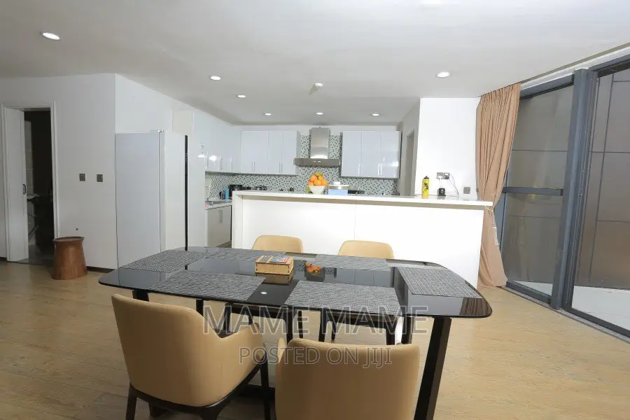 Furnished 3bdrm Penthouse in Addis Abeba, Bole for rent