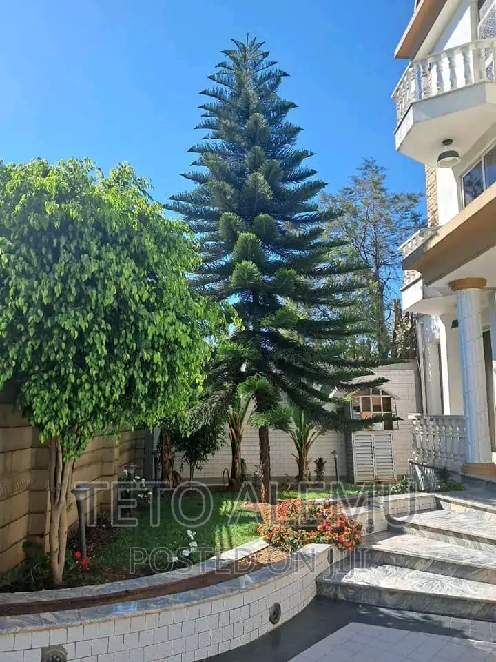 Furnished 6bdrm House in House For Sale, Bole for sale