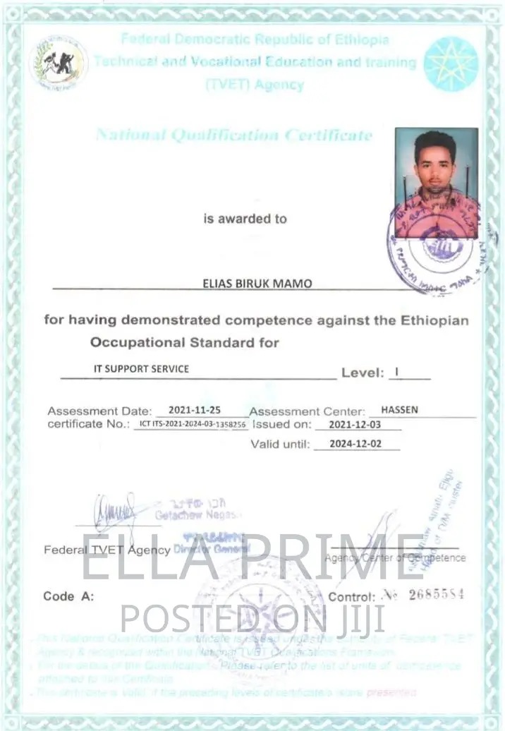 Experienced Computer Expert