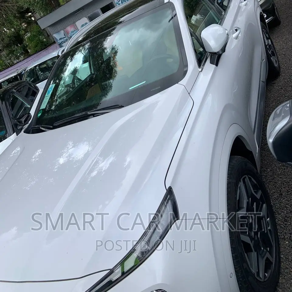 Hyundai Santa Fe 2023 White