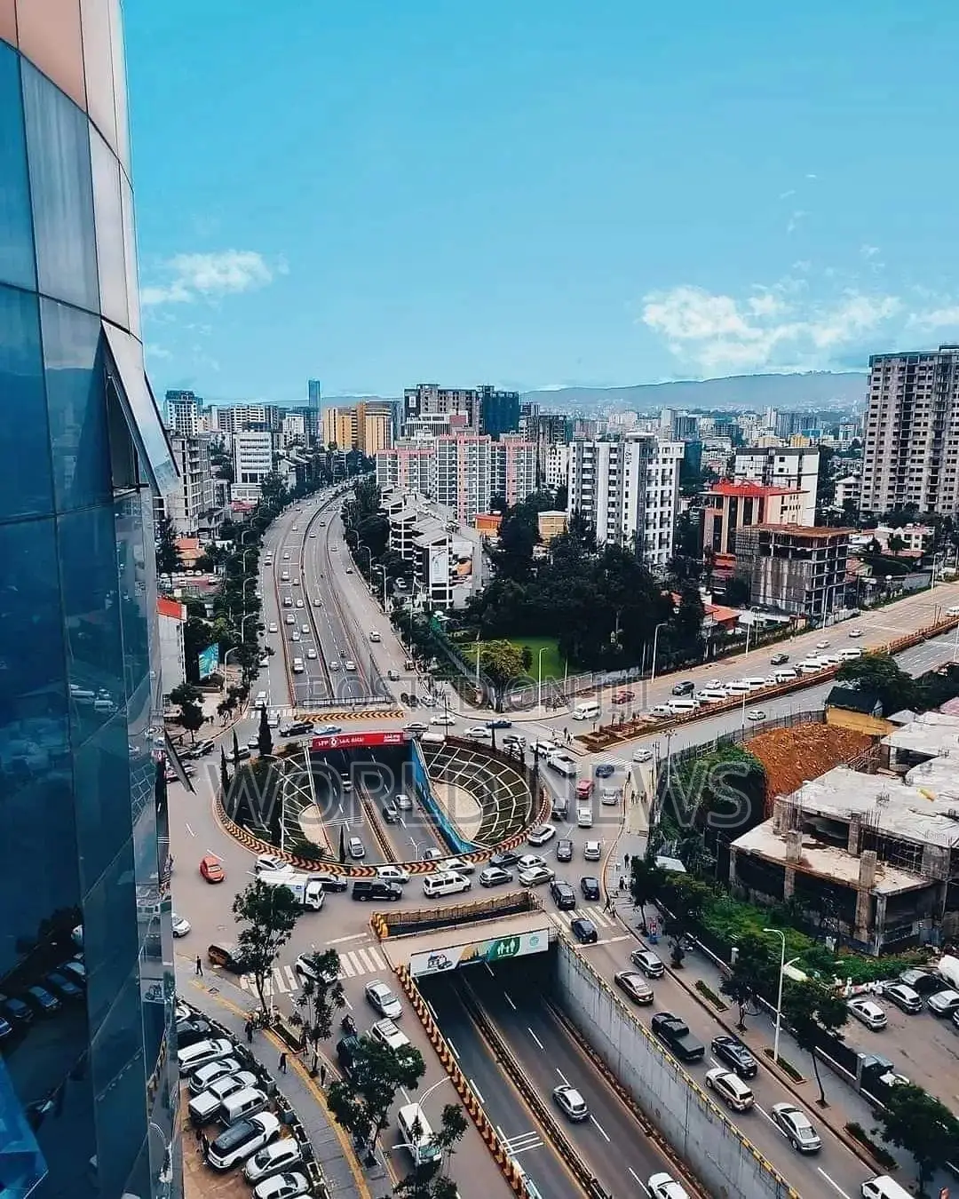 Realistic Silicone Vibrator Dildo