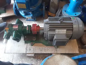 Oil Transfer Rotary Gear Pump