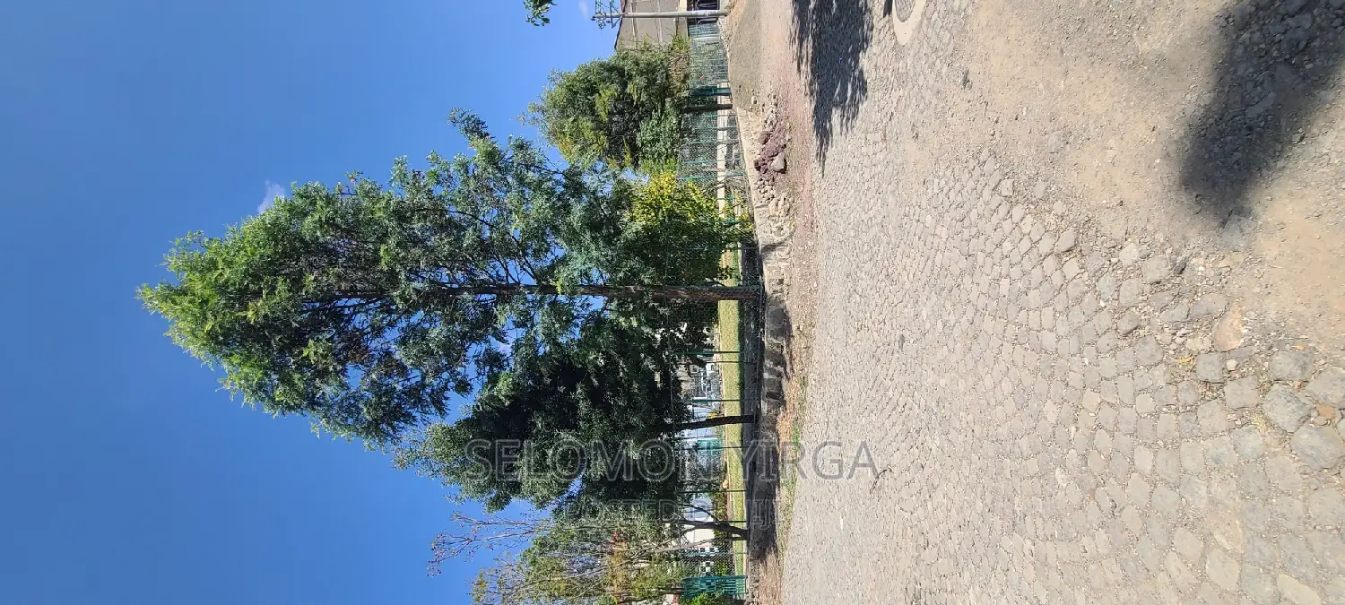 9bdrm House in አድስ አበባ, Bole for sale