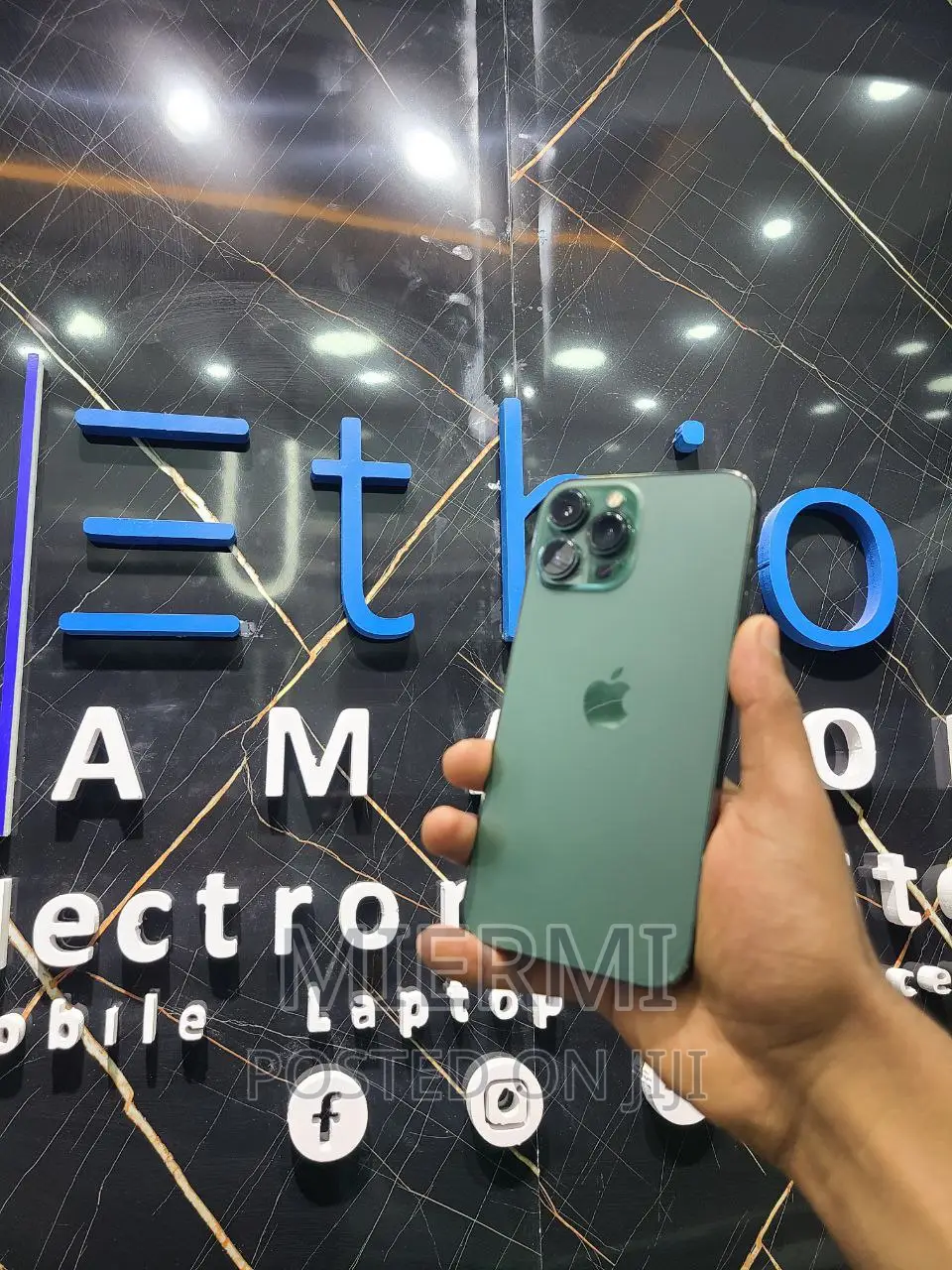 Apple iPhone 13 Pro Max 256 GB Green