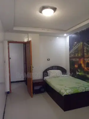Furnished 2bdrm Apartment in Bole for rent