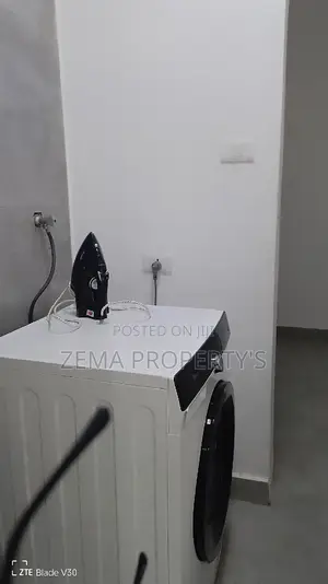 Furnished 3bdrm Apartment in Zema, Bole for rent