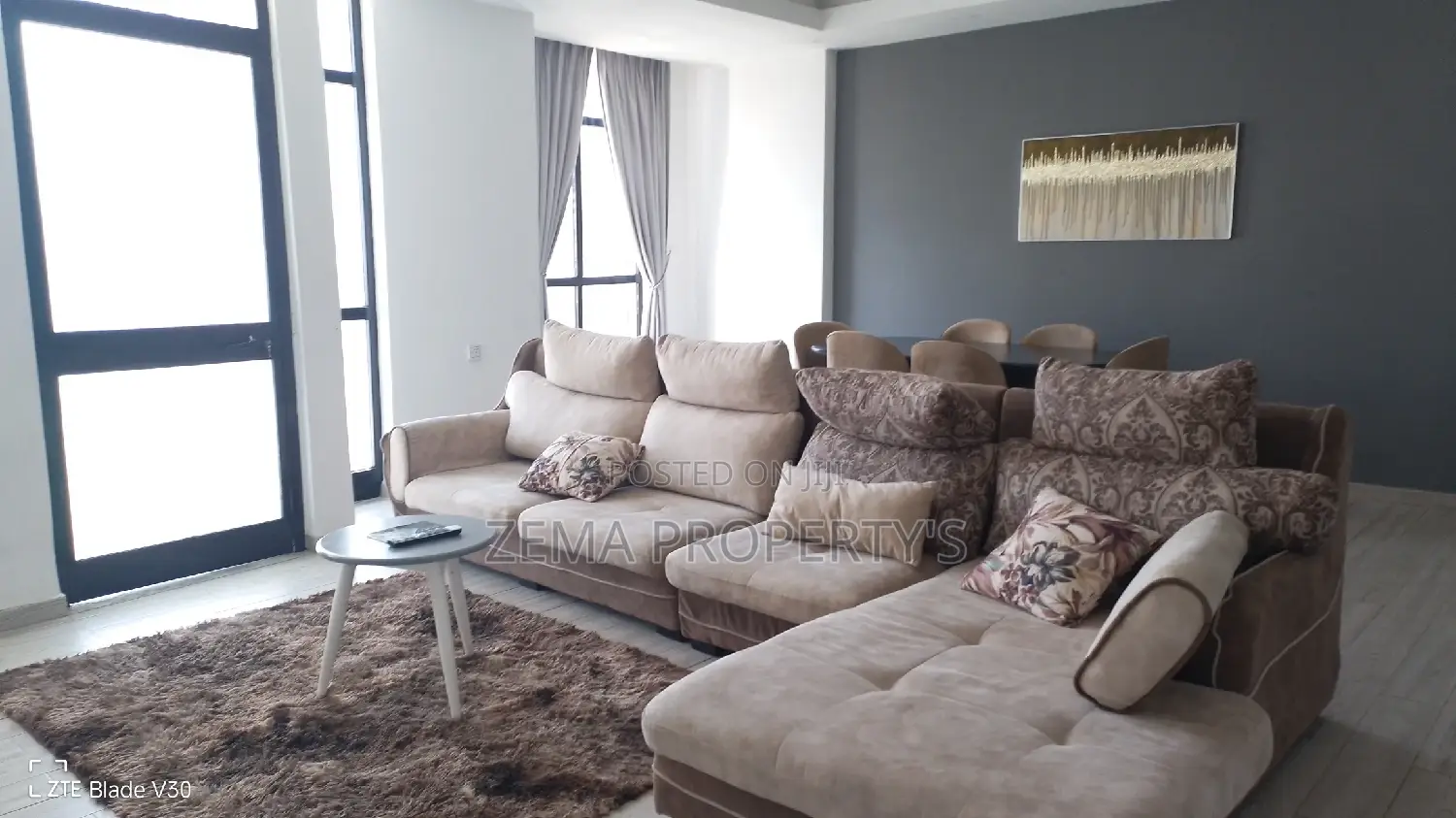 Furnished 3bdrm Apartment in Zema, Bole for rent