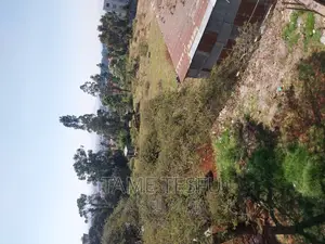 Furnished 2bdrm House in Wosene, Yeka for sale