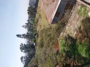 Furnished 2bdrm House in Wosene, Yeka for sale