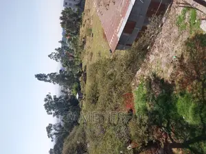 Furnished 2bdrm House in Wosene, Yeka for sale