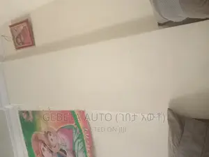 Furnished 1bdrm Condo in Tulu Dimtu Project, Akaky Kaliti for sale