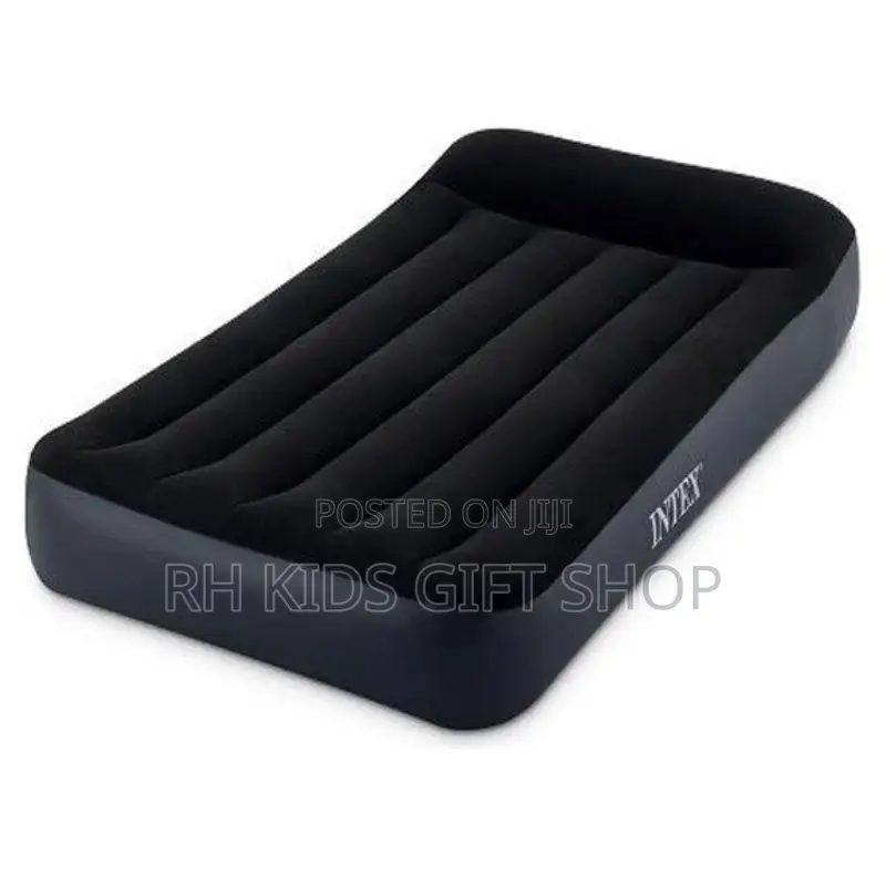 በአየር የሚነፋ ምቹ ፍራሽ የራሱ የኤሌክትሪክ መንፊያ የተገጠመለት Intex Standard