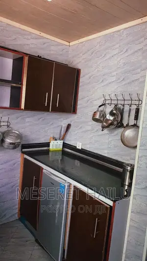 Furnished 1bdrm House in Bole Michael for rent
