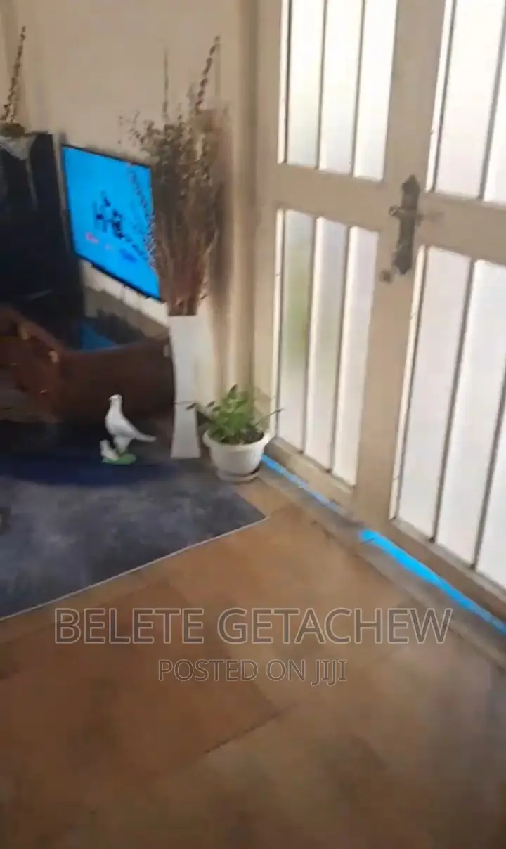 2bdrm Condo in Bole Arabsa for sale