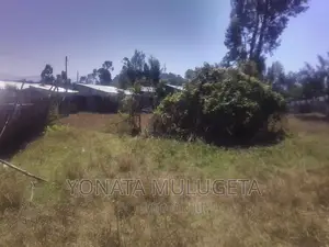 Photo - Land for Sale