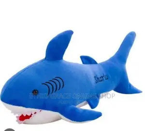 Photo - Birthday Gift for Boy Above 8