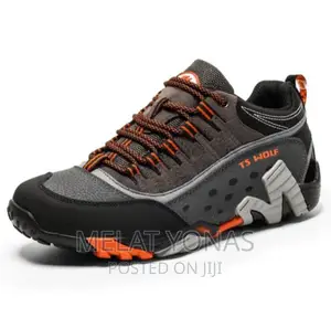Photo - TS Wolf Safety Shoes