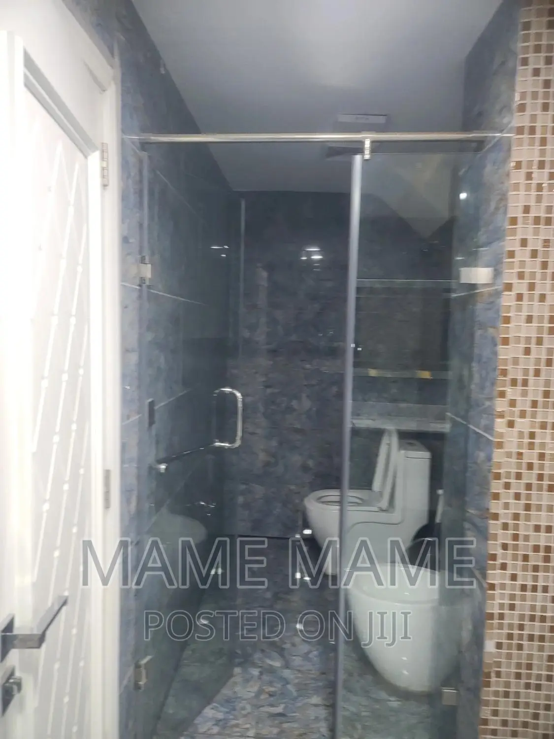 Furnished 3bdrm Penthouse in Addis Abeba, Bole for rent