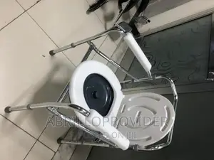 Toilet Seat Chair/Commode Chair/Folding Chair/Commode Chair