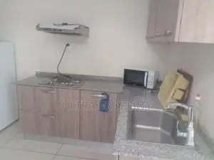 Furnished 1bdrm Apartment in Bole for rent