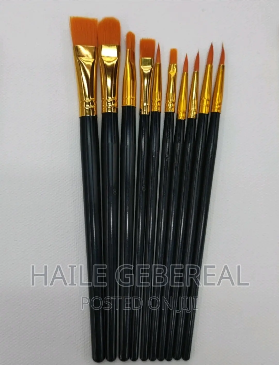 10 Piece Painting Brush