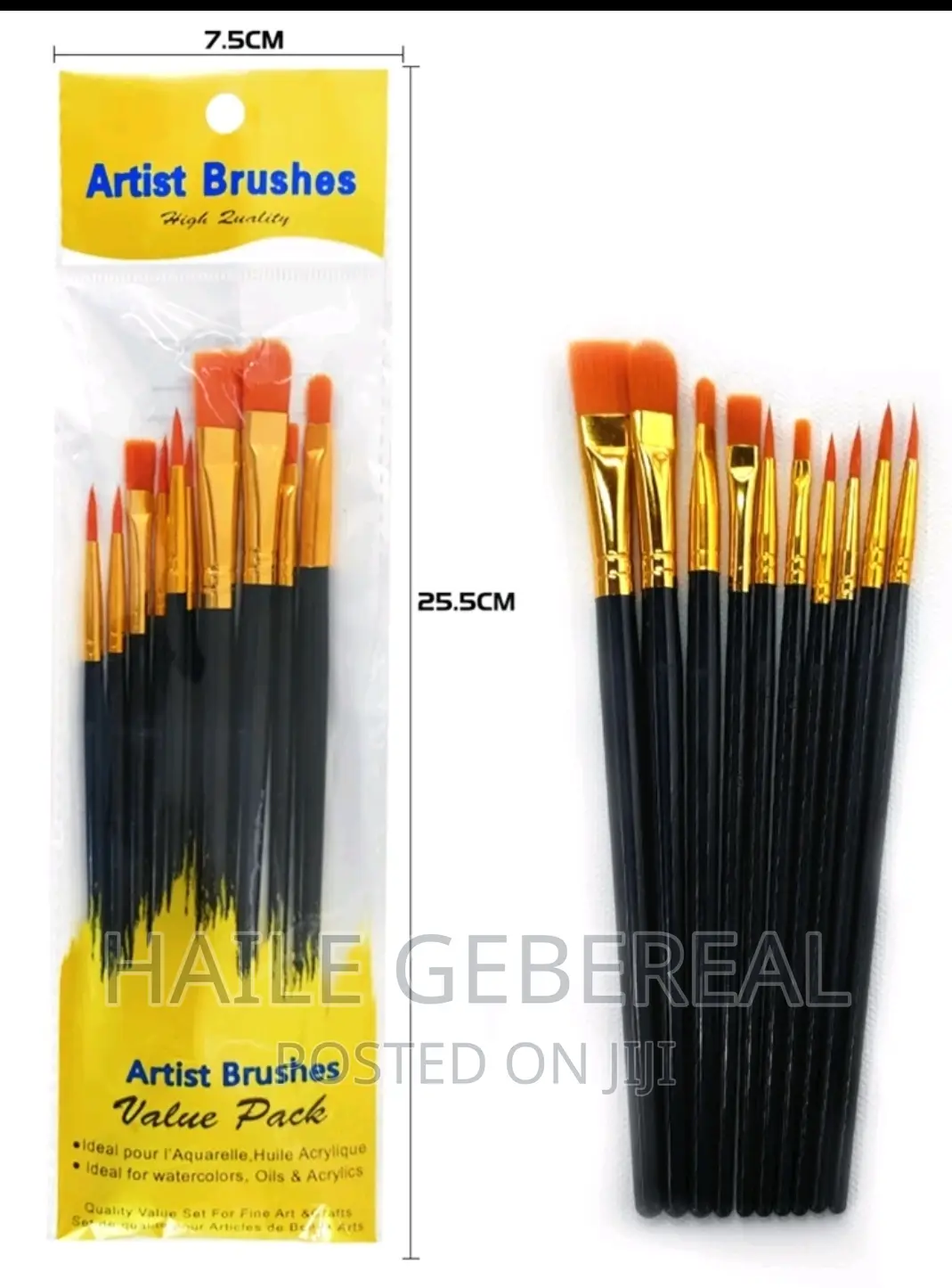 10 Piece Painting Brush