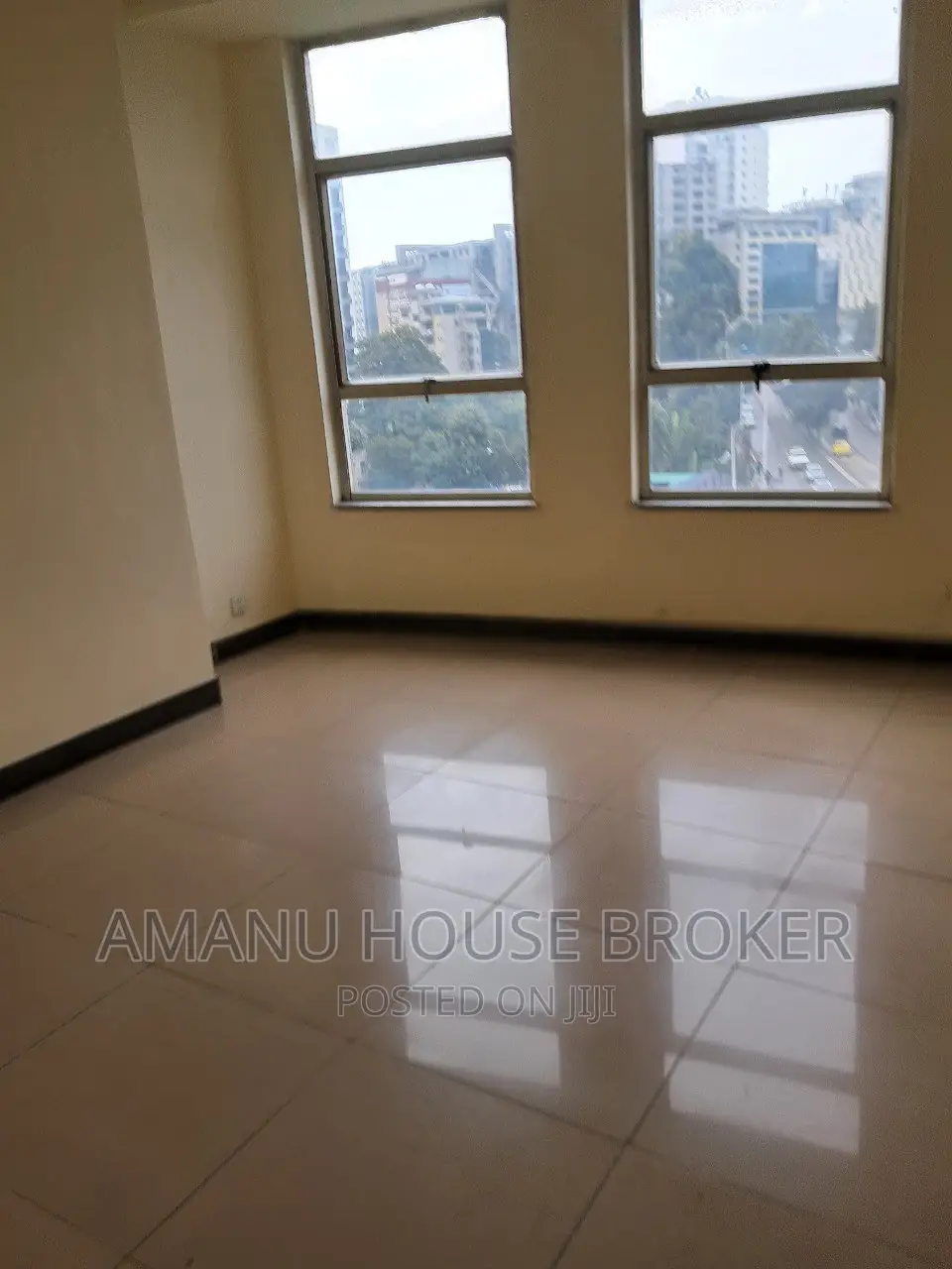 3bdrm Apartment in አዲስ አበባ ሃያት አምባሳደር, Yeka for sale