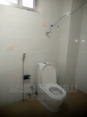 Furnished 1bdrm Apartment in Bole Bolbula for rent