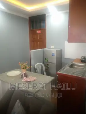 Furnished 1bdrm Apartment in Bole Bolbula for rent