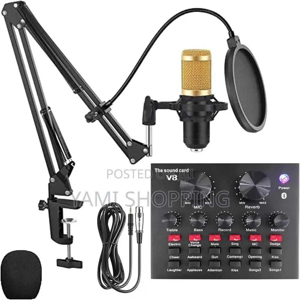 V8 Live Soundcard Professional Condenser Microphone