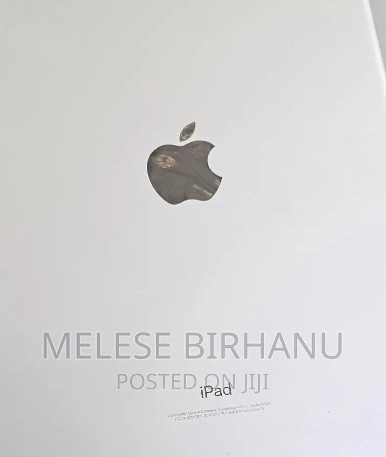 New Apple iPad Wi-Fi 256 GB Silver