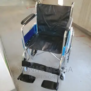 Durability and Comfort: Lifecare Stainless Steel Wheelchair