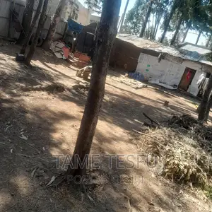 Photo - Furnished 1bdrm House in Yeka Kotobe for sale