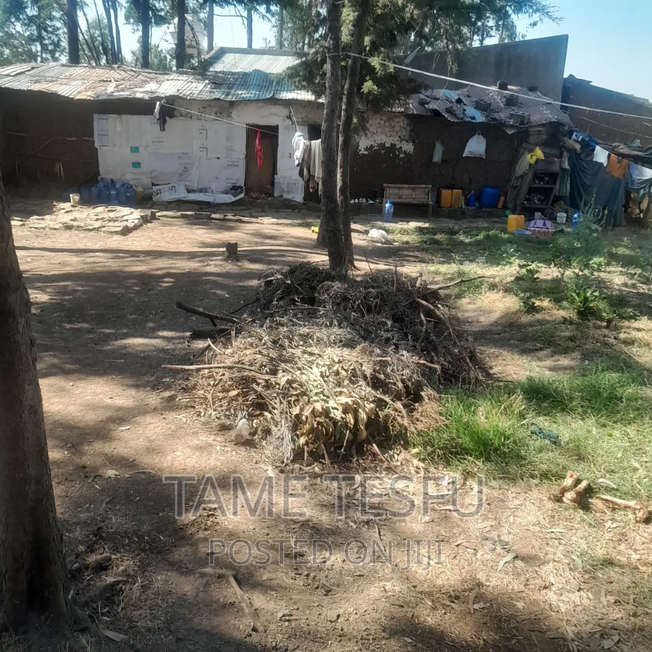 Furnished 1bdrm House in Yeka Kotobe for sale