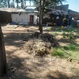 Furnished 1bdrm House in Yeka Kotobe for sale