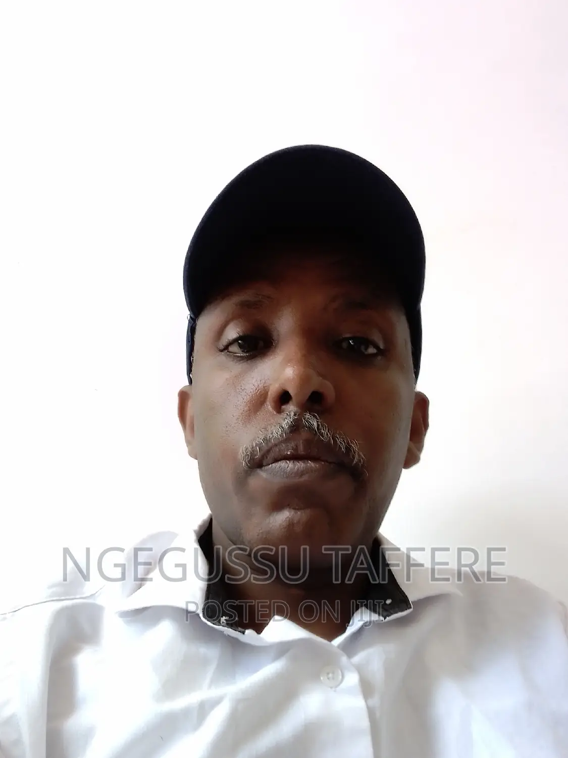 Head Cook Executive Chief