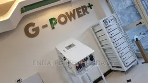 ጀነሬተርን ያስቀረ ሊትየም ባትሪ