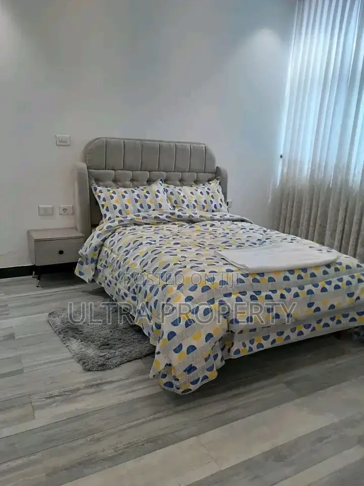 Furnished 3bdrm Apartment in Bole for rent