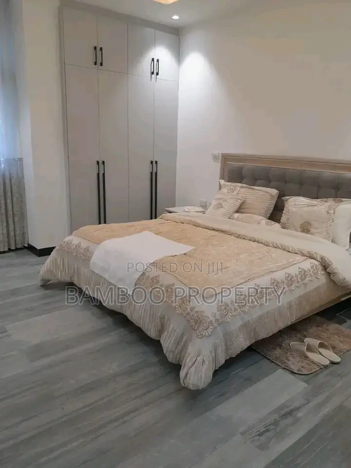 Furnished 3bdrm Apartment in Bole for rent