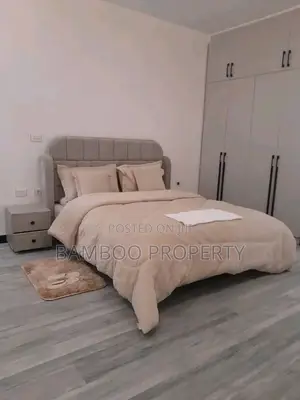 Furnished 3bdrm Apartment in Bole for rent